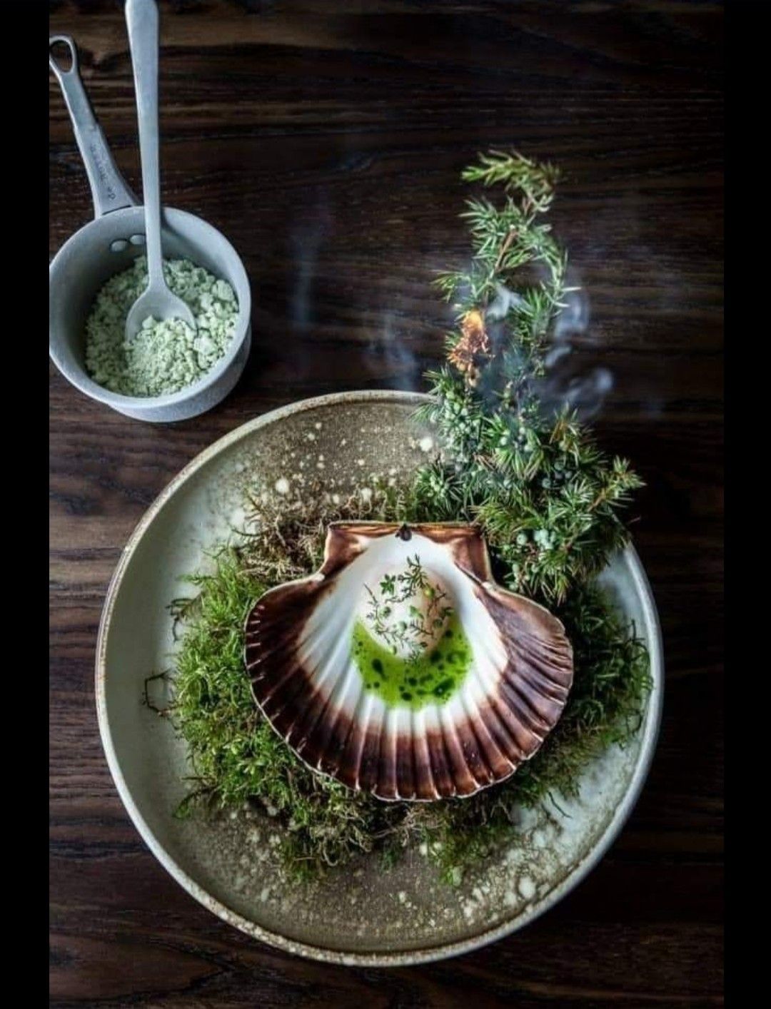 COQUILLE DE SAINT JAQUES (frozen)