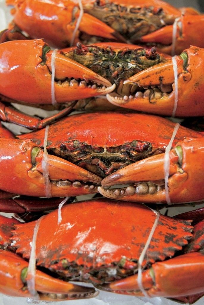 STONE CRAB (frozen)