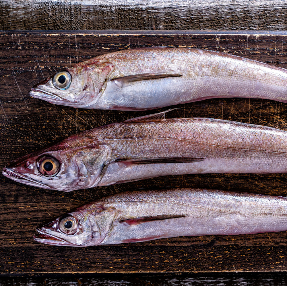 SOUTHERN HAKE (fresh)
