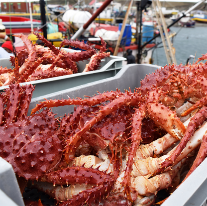 CHILEAN KING CRAB (frozen)