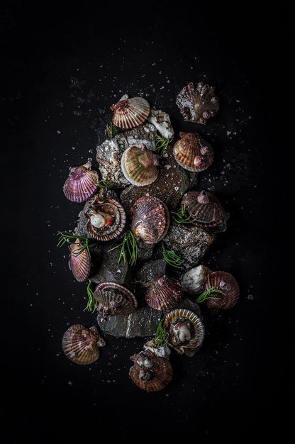 COQUILLE DE SAINT JAQUES (frozen)